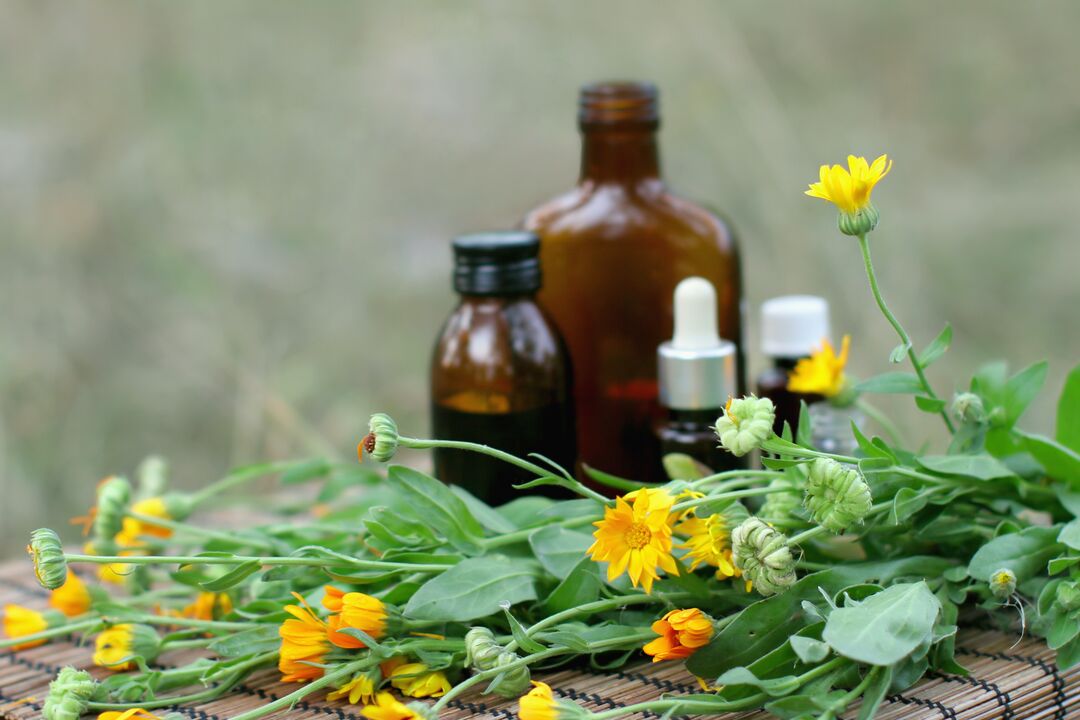 Elecampane - a folk remedy for sexual stimulation with decreased potency