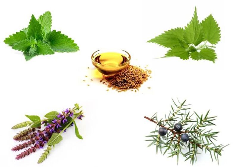 Mint, sting, thyme, juniper and hemp seed oil