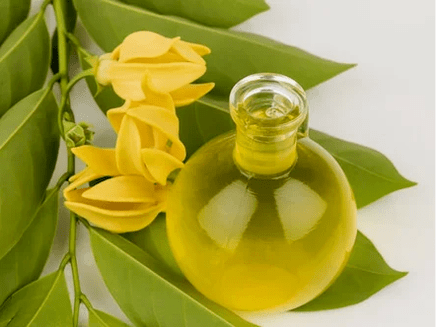 Aromatherapy to increase potential